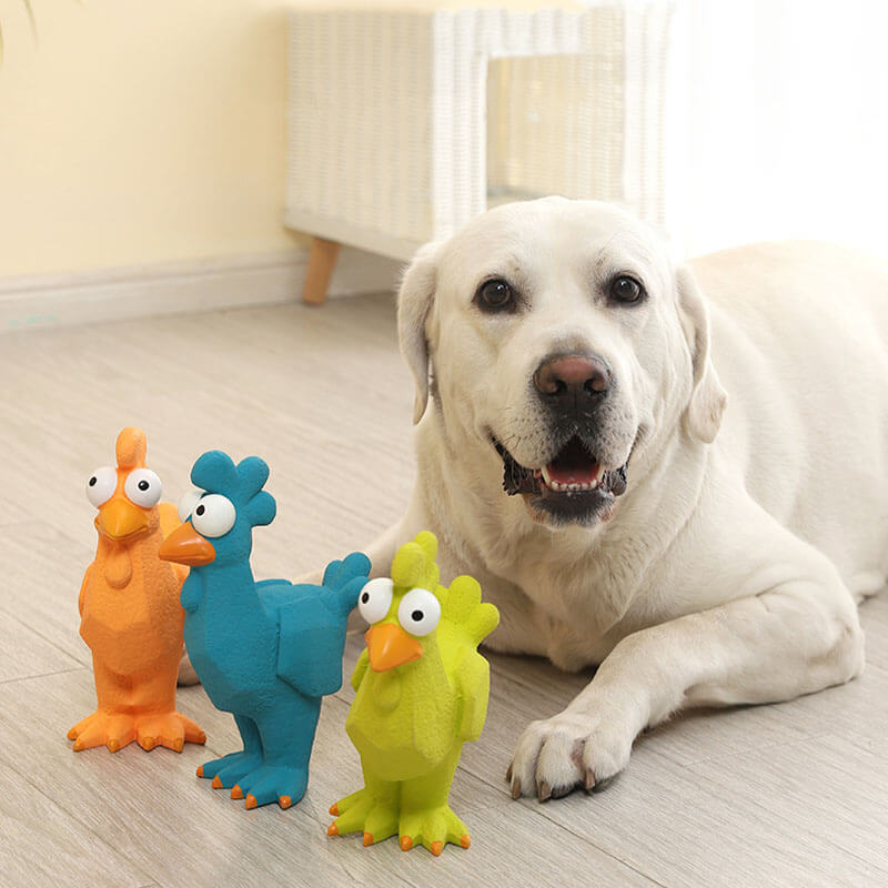 Rooster dog hot sale toy