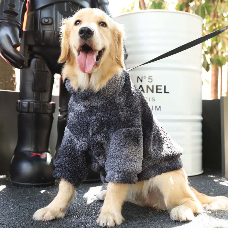 Funny clearance dog coats