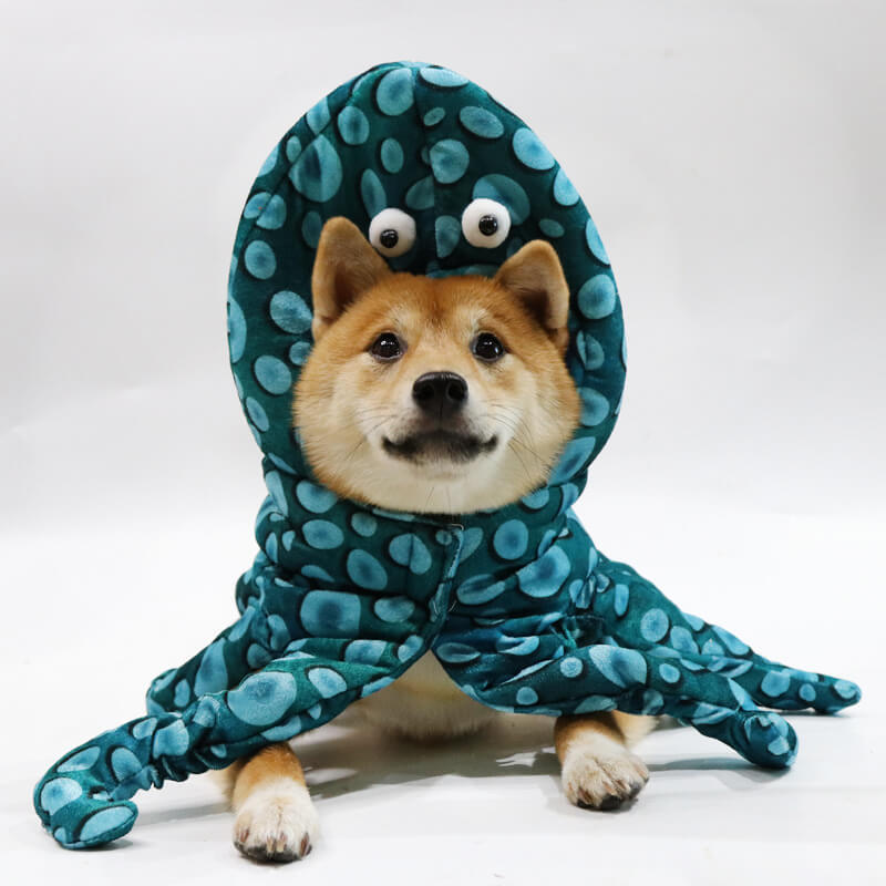 Halloween-Haustier-Verwandlungskostüm, Parodie eines Oktopus-Hundekostüms