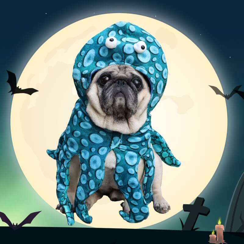 Costume de Transformation d'animal de compagnie d'halloween, Costume de chien de poulpe parodie
