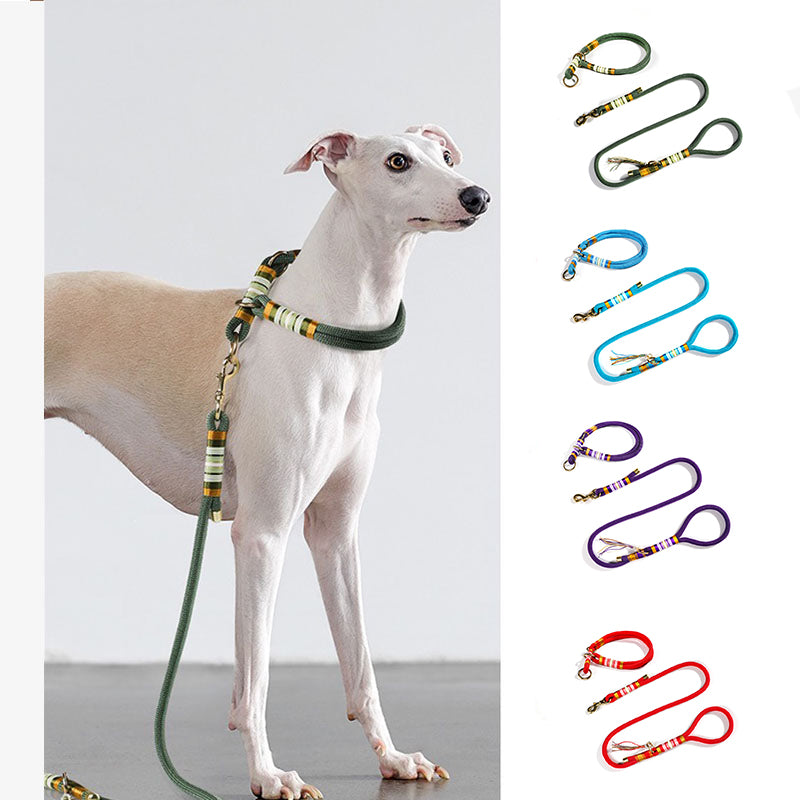 Hand-knitted Braided Rope No Pull  Dog Training Leash & Collar