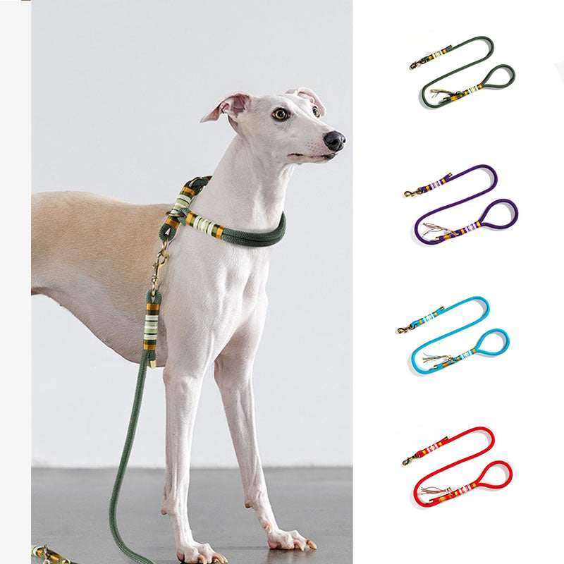 Cool clearance puppy accessories