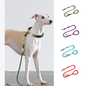 Handgestrickte Hundetrainingsleine aus geflochtenem Seil