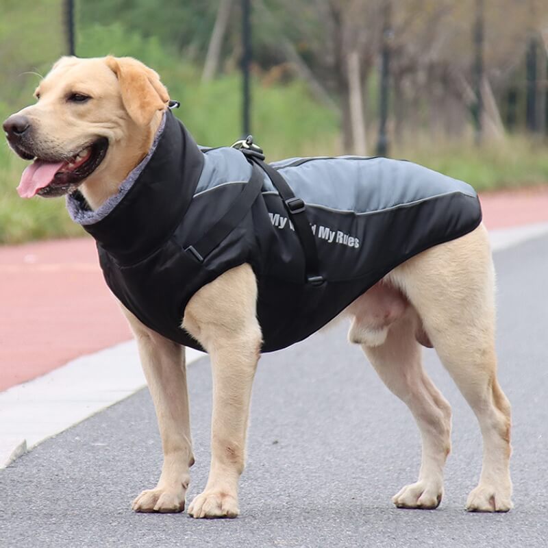 Warmer, cooler Hundezubehör-Jacke mit hohem Kragen, verdickter, cooler Hundezubehör-Baumwollmantel