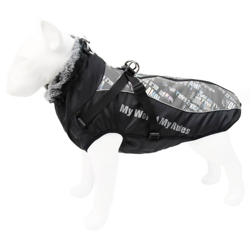 Awesome dog hot sale accessories