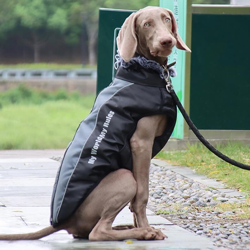 Gola alta quente legal acessórios para cães jaqueta espessada acessórios para cães casaco de algodão