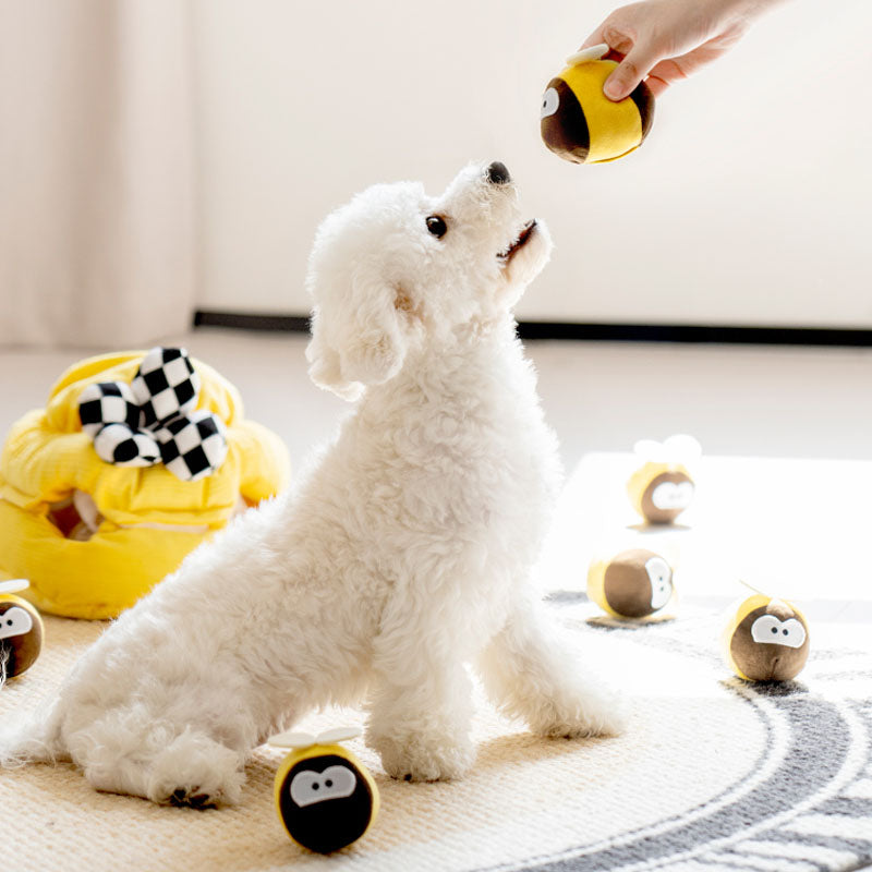 Interaktives Waben-Schnüffelspielzeug für Hunde