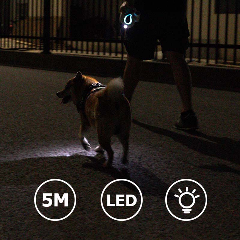 Laisse d'entraînement pour chien, longue et rétractable, accessoires pour chiens, LED