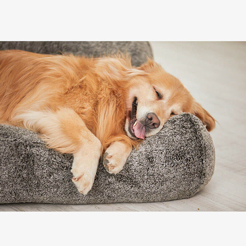 Large plush dog clearance bed