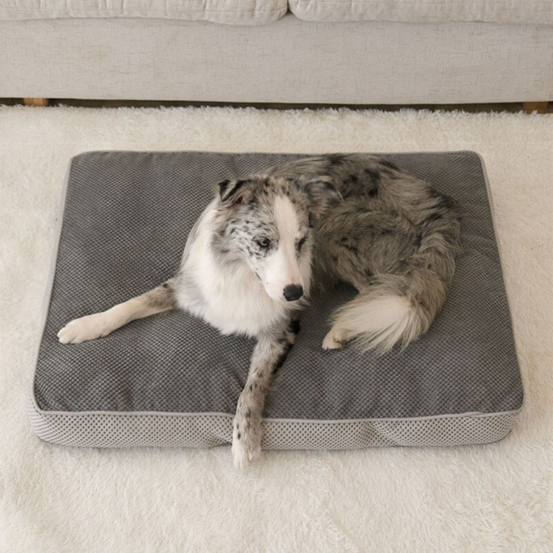 Grande tapete de dormir cinza respirável para animais de estimação removível Cachorro cama com almofada