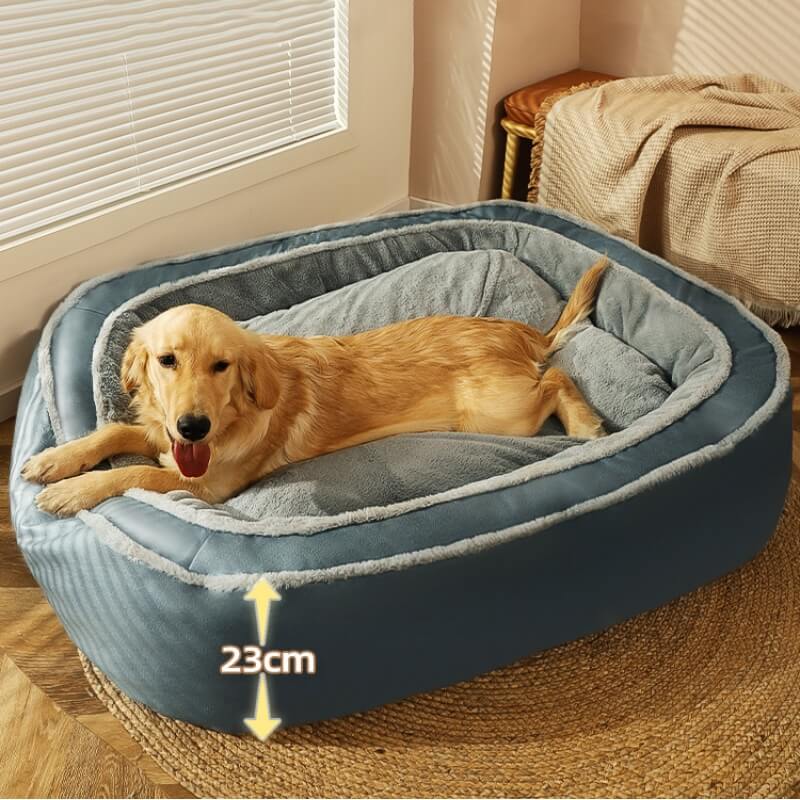 Orvis memory foam deep dish dog bed best sale