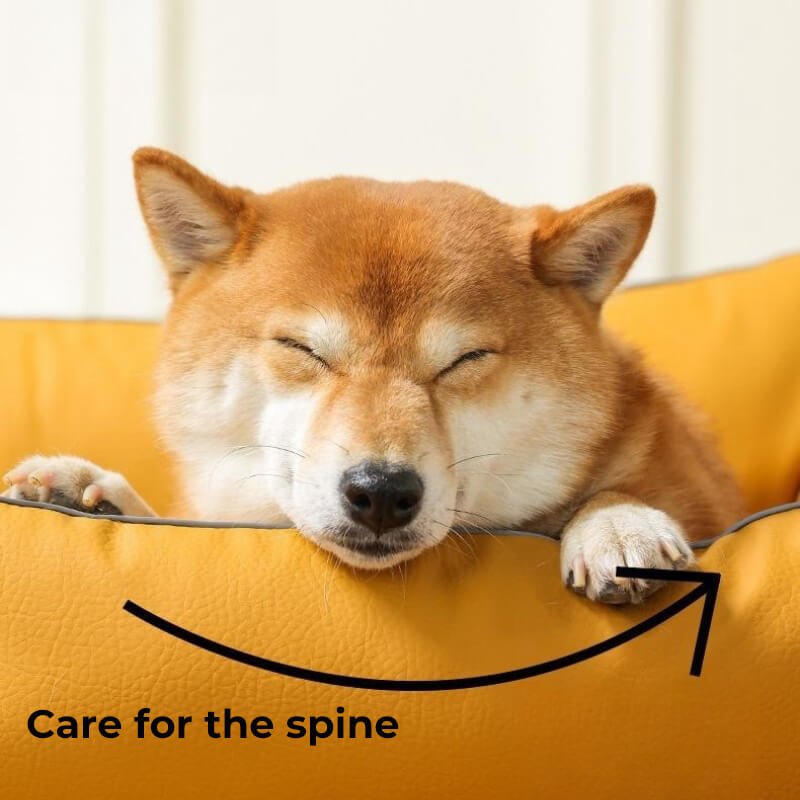 Lit pour chien lit orthopédique résistant aux rayures Leathaire
