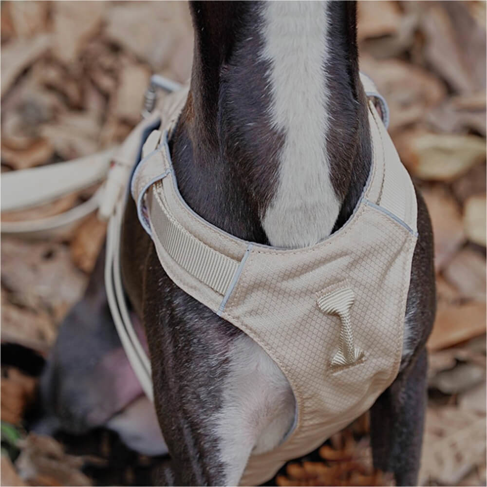 Lightweight Waterproof Breathable Anti-Pull Dog Harness and Multifunctional Leash