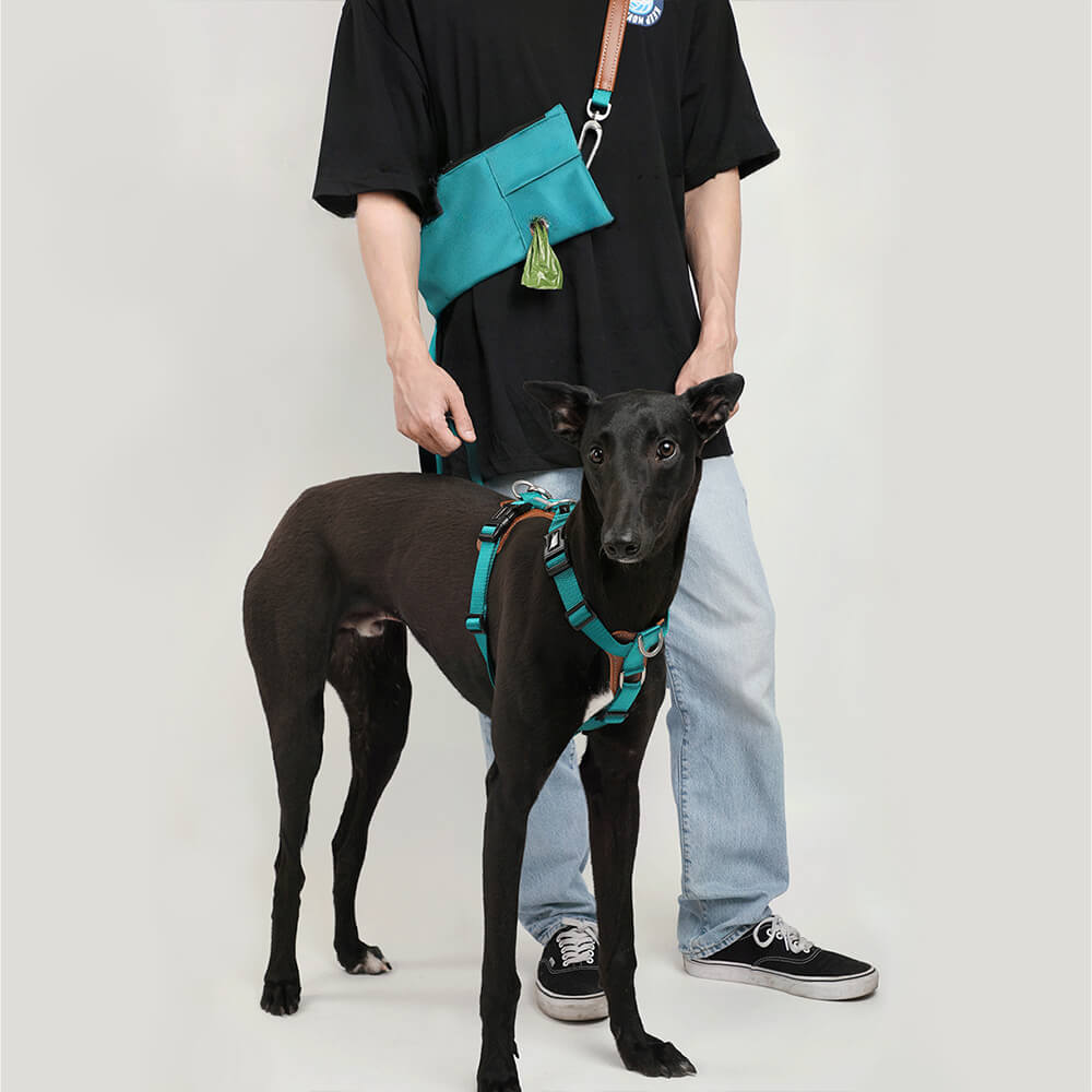 Ensemble de harnais de marche anti-traction mains libres multifonctionnel pour chien avec sac de rangement
