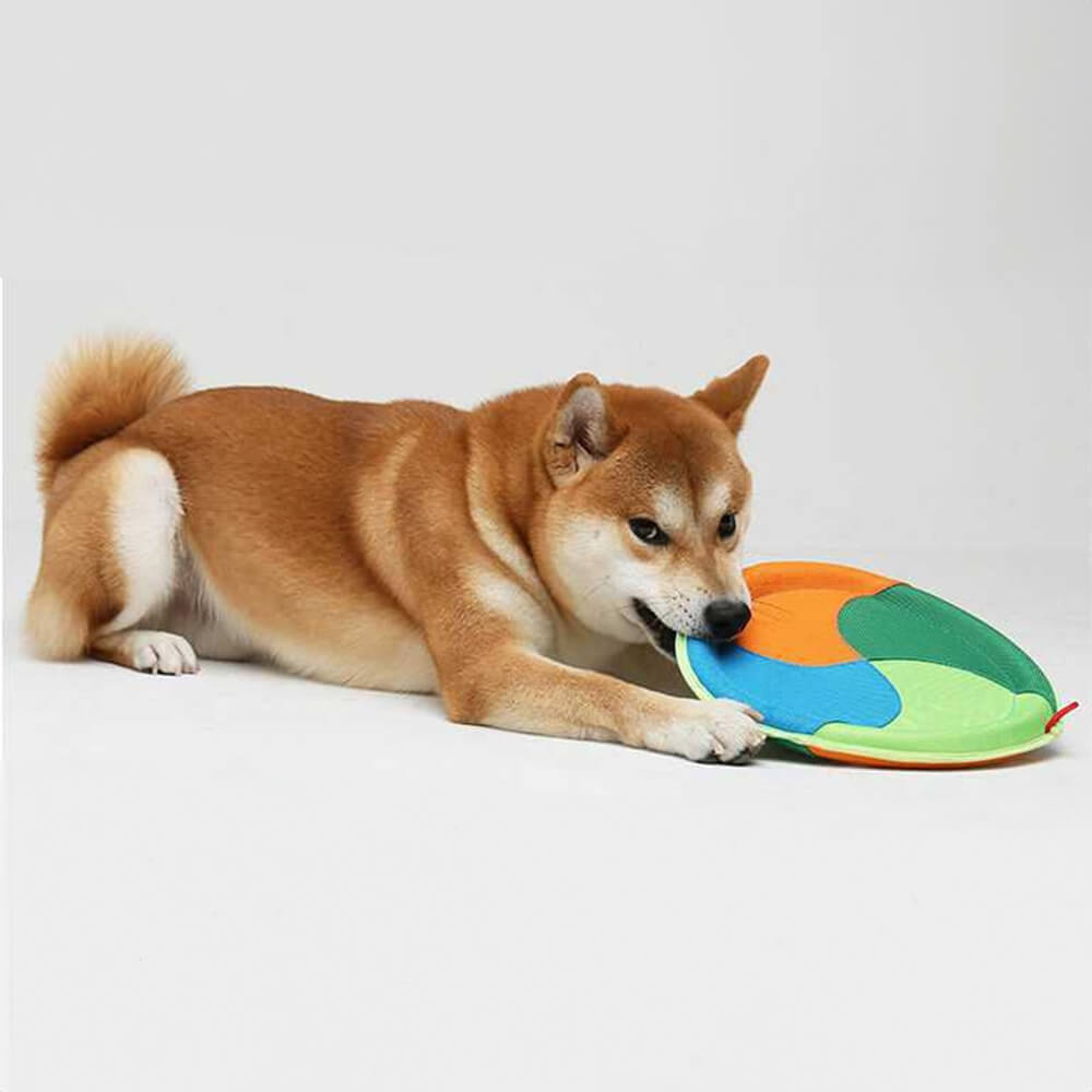 Brinquedo interativo para cães ao ar livre, durável, pano oxford, frisbee para cães