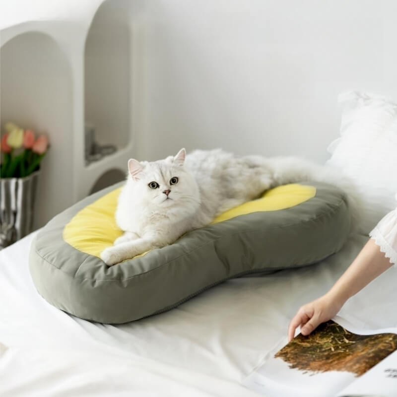 Tapete de dormir extra grosso para animais de estimação Relógio Cama para cães e gatos
