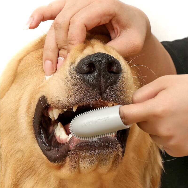 فرشاة أسنان الأليفة فرشاة أسنان الاصبع لتنظيف الأسنان