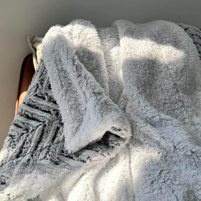 Plush Double Layer Blanket Pet Throw Blanket Human Blanket