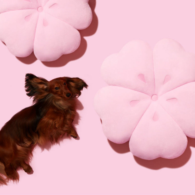 Tapis doux pour animaux de compagnie de la série Sakura