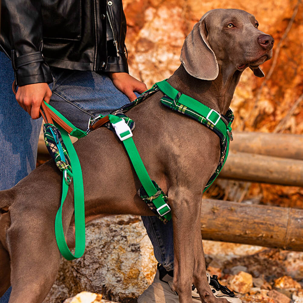 Conjunto de arnês e trela para cães grandes e anti-tração seguros com bolsa de caminhada