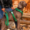 Secure Anti-Pull Large Dog Harness and Leash Walking Set with Walk Bag