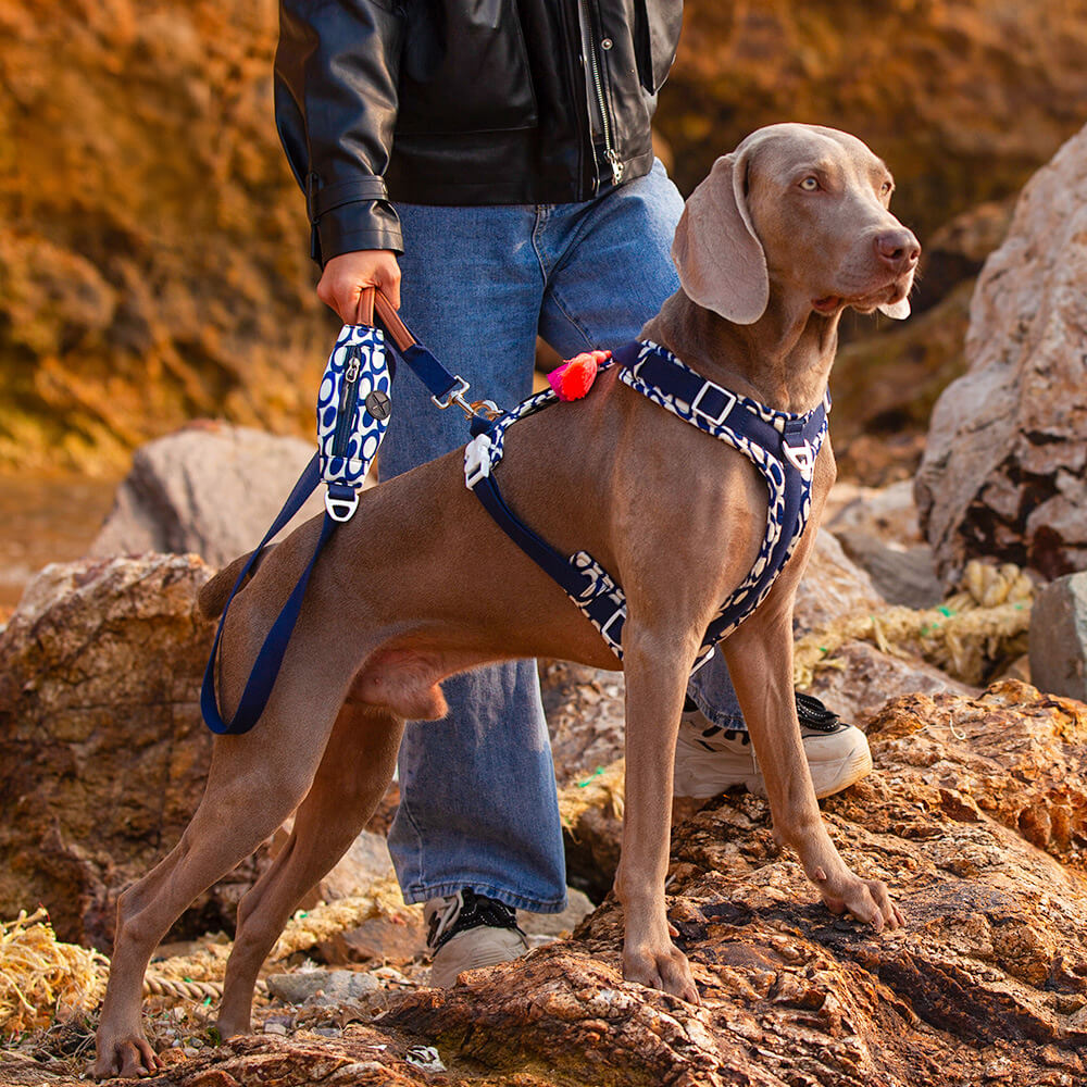 Conjunto de arnês e trela para cães grandes e anti-tração seguros com bolsa de caminhada