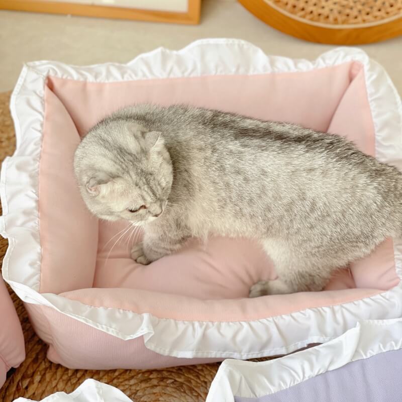 Soft Waxy Cute Pet Bed Integrated Dog & Cat Bed