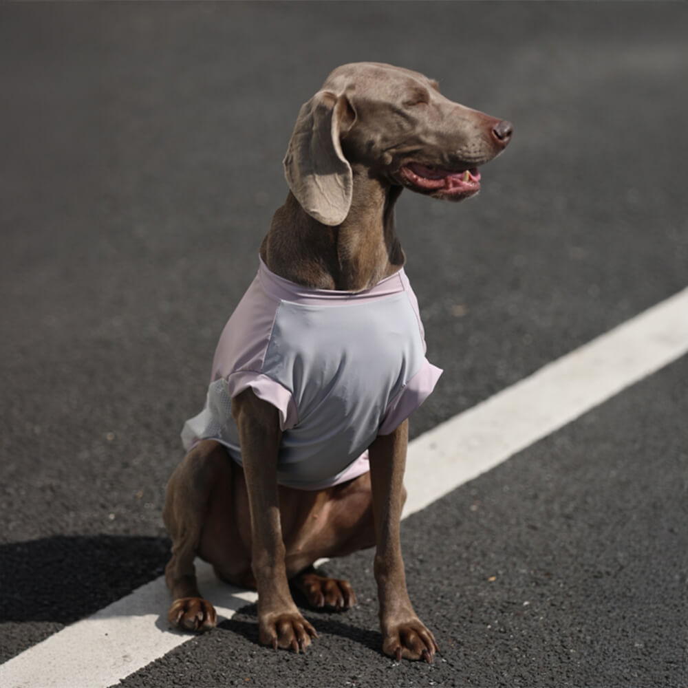 Stilvolle, farbblockierte, leichte, sonnenschützende, atmungsaktive Hundeweste