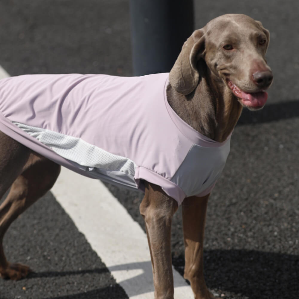 Stylish Color-Blocked Lightweight Sun-Protective Breathable Dog Vest