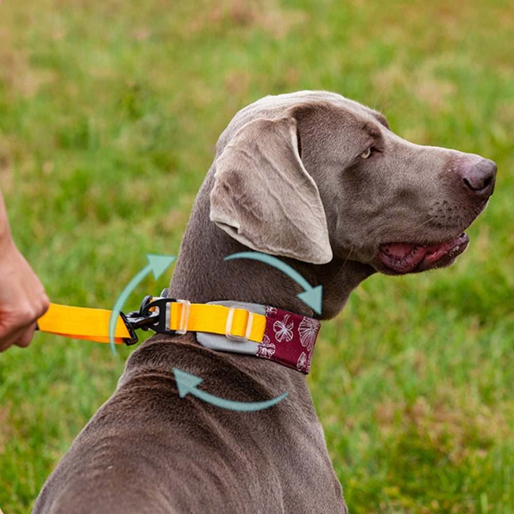 Stilvolles, bequemes, nicht ziehendes, cooles Hundezubehör-Halsband