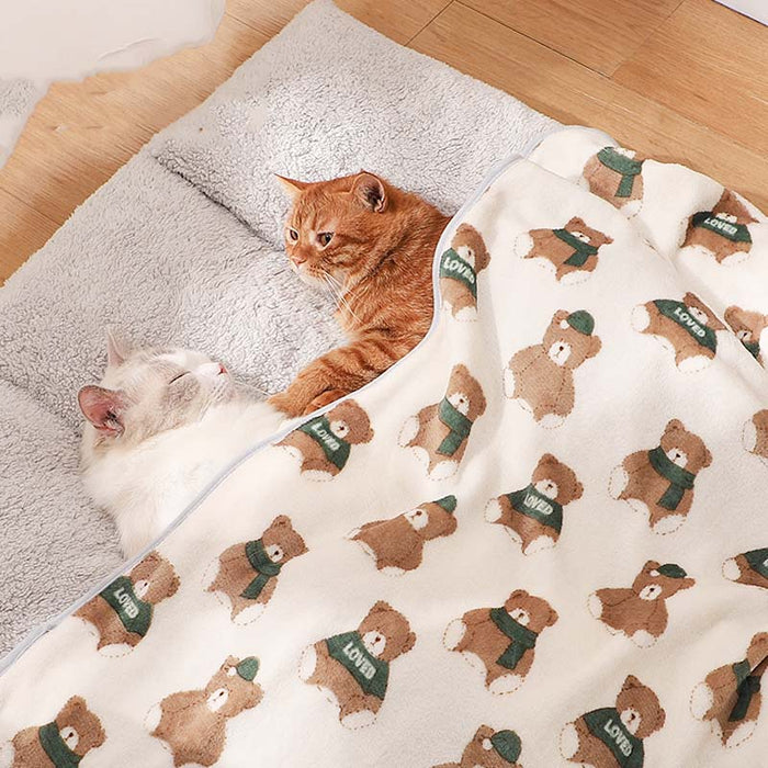 Kitten Kneading With Blankets photo