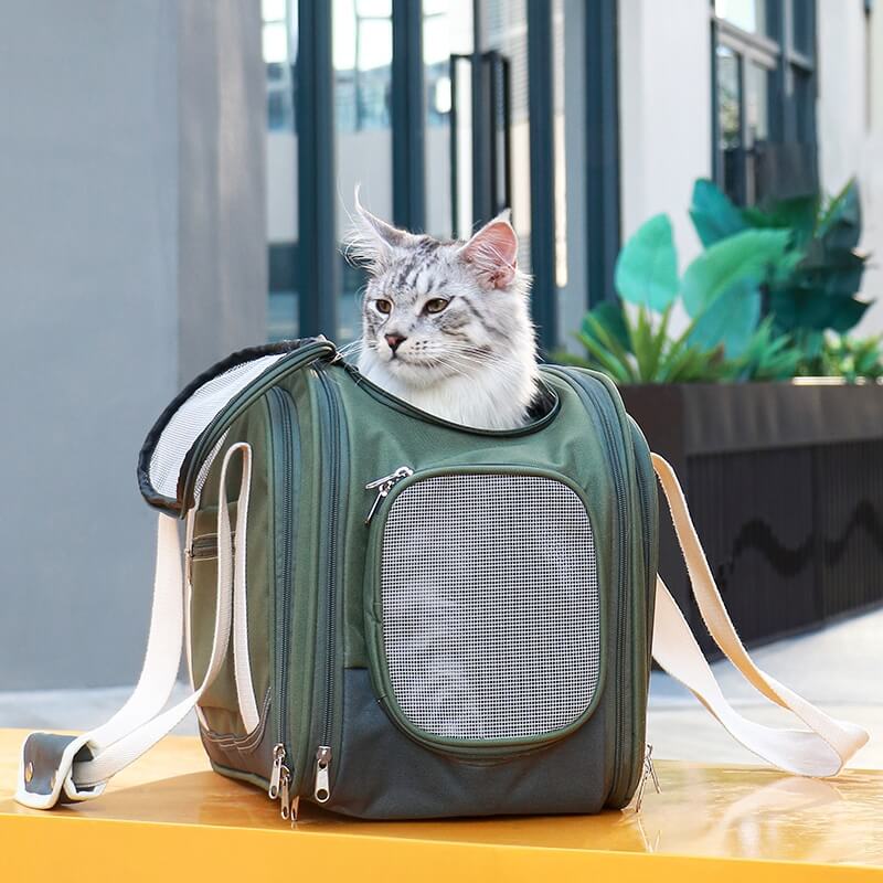 حقيبة حاملة Cat متعددة الوظائف متعددة الوظائف