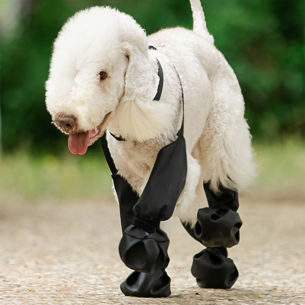 Leggings antiderrapantes impermeáveis ​​para cães - portáteis, duráveis ​​e à prova de sujeira