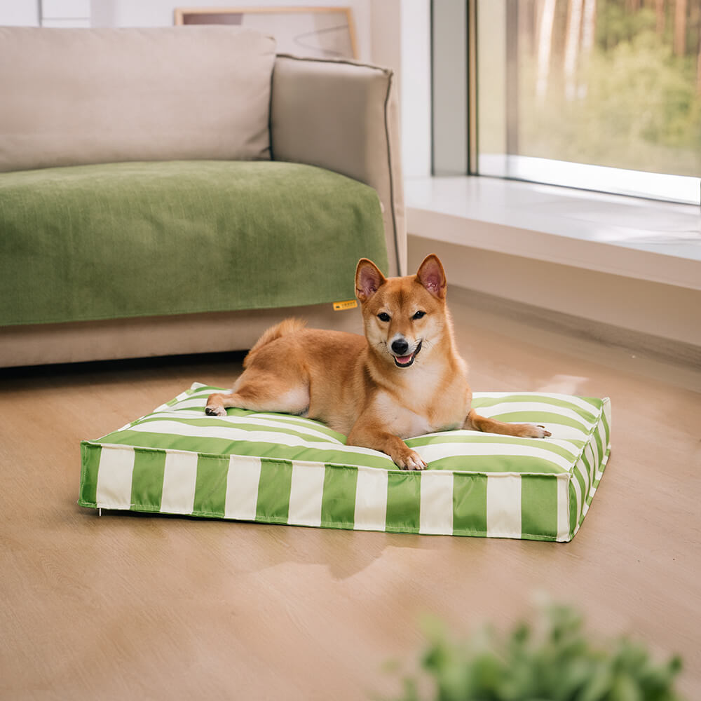 Outdoor dog couch best sale