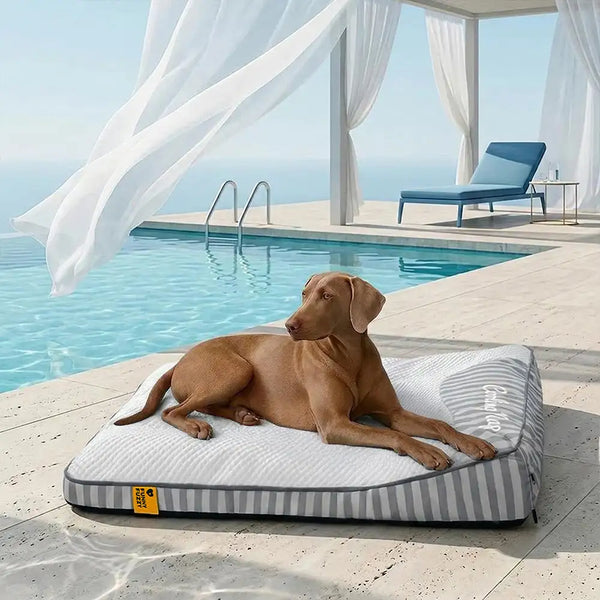 Extra Large Cooling Washable Rectangle Orthopedic Dog Bed - Outdoor