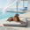 Large Washable Cooling Non-slip Outdoor Dog Mat - Cooling Nap