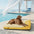 Extra Large Cooling Washable Rectangle Orthopedic Dog Bed - Outdoor