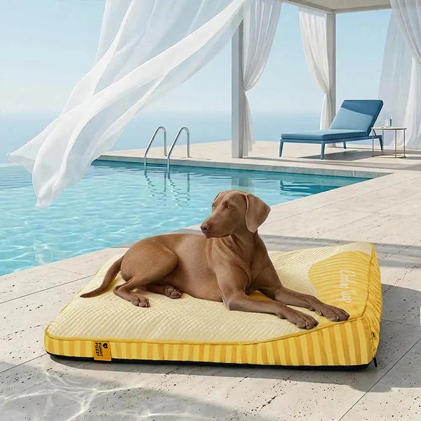 Extra Large Cooling Washable Rectangle Orthopedic Dog Bed - Outdoor