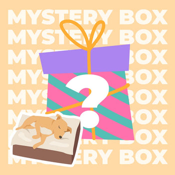 Sicheres Reiseset für Hunde bis 15 kg – 220 $ Wert-Mystery-Box