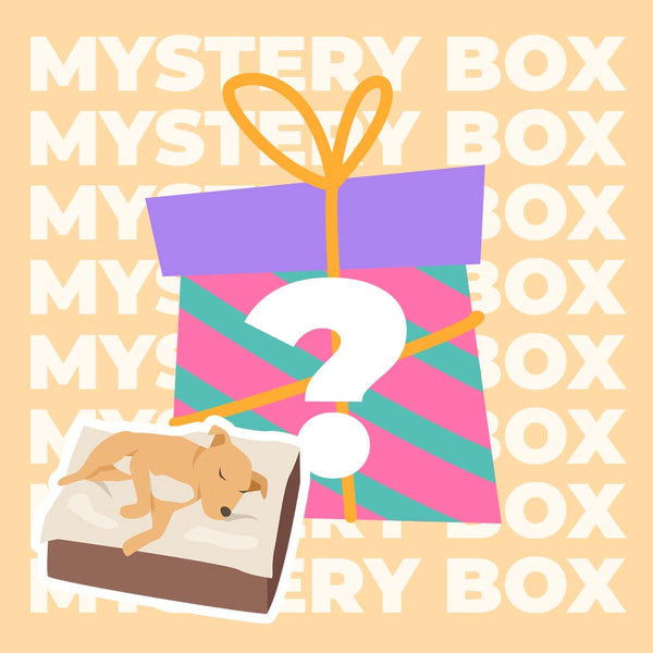 Sicheres Reiseset für Hunde bis 15 kg – 220 $ Wert-Mystery-Box
