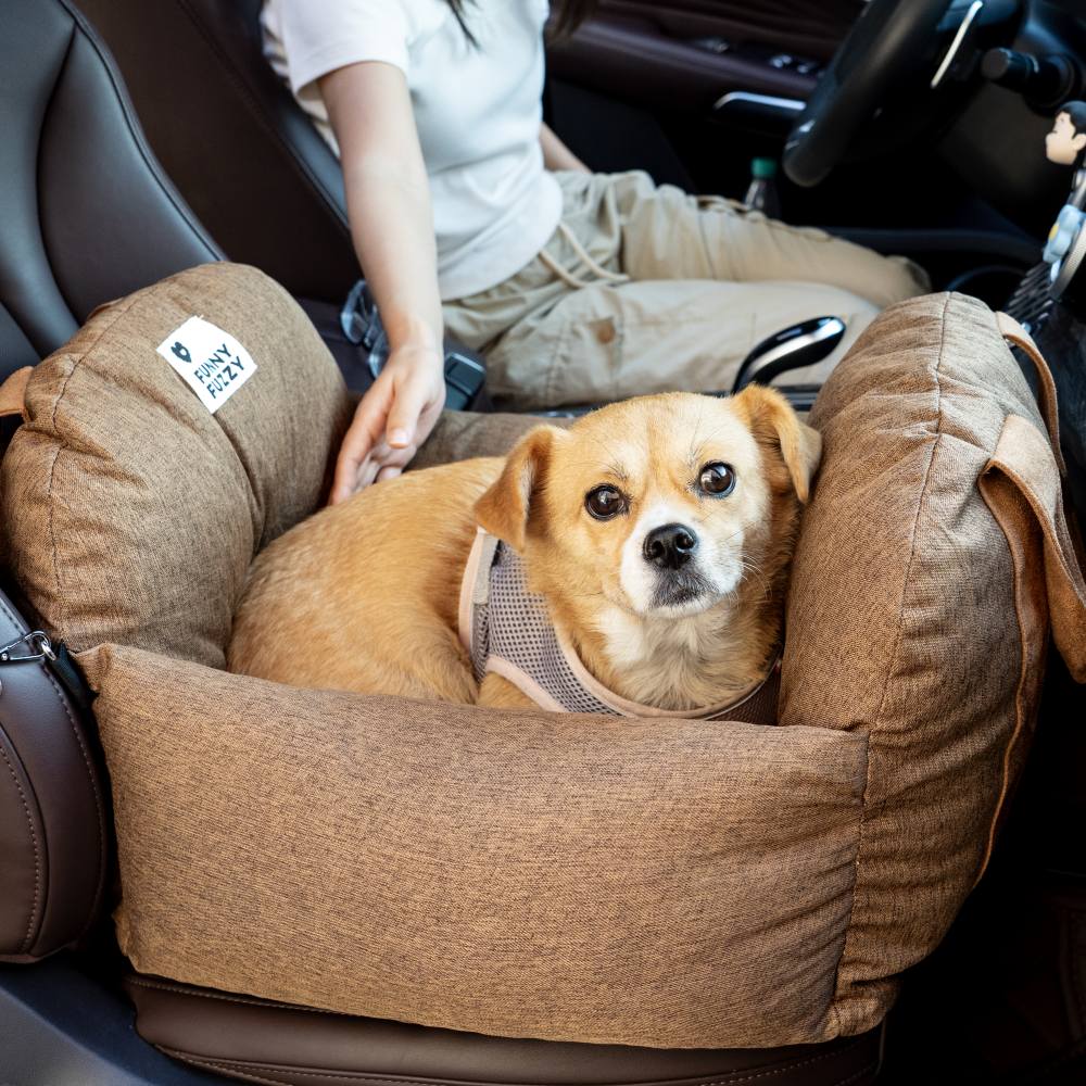 Dog car accessories best sale