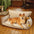 Orthopedic All-season Dual-layer Removable Dog Bed - Retro