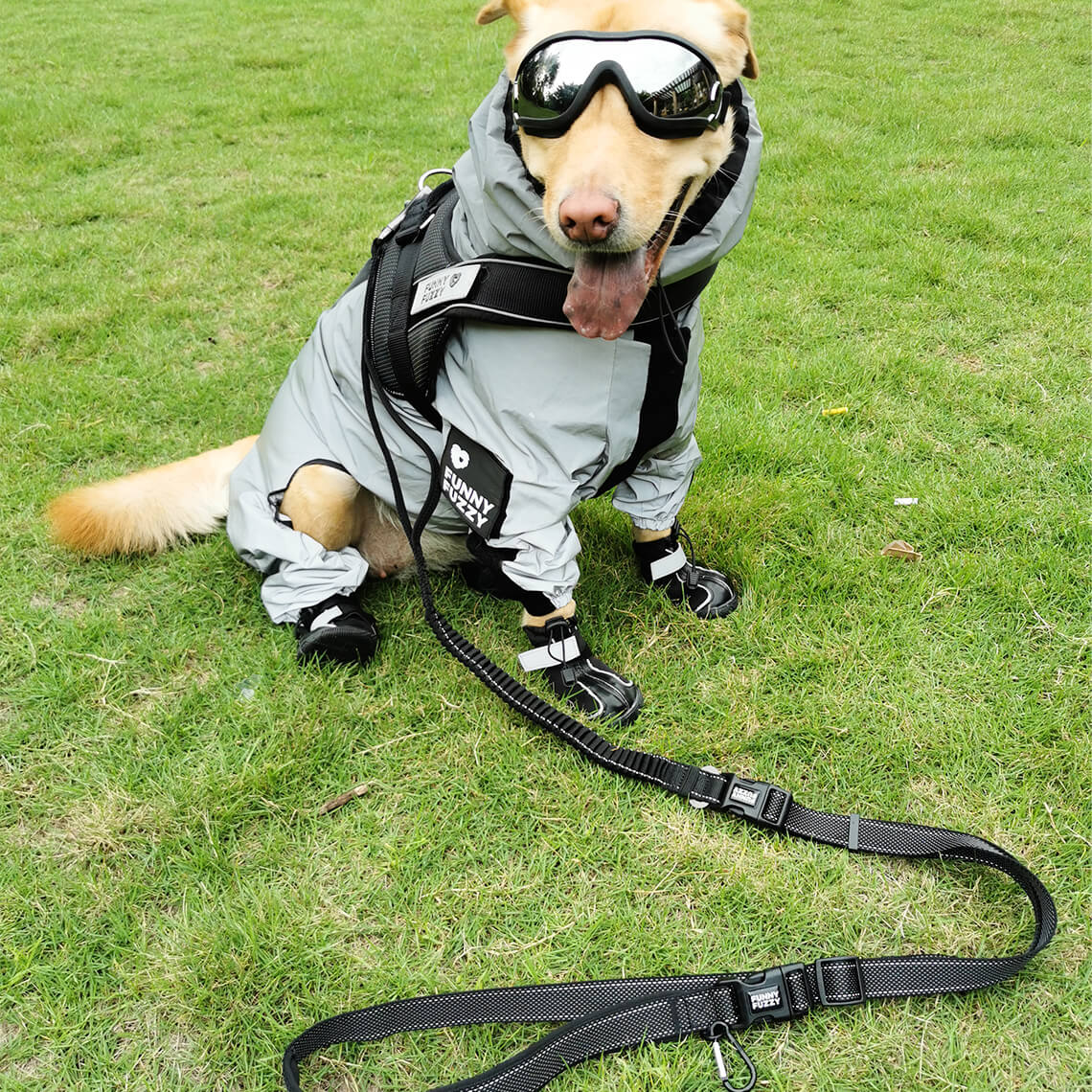 Swag & Safe Cool Dog Accessories Walk Set