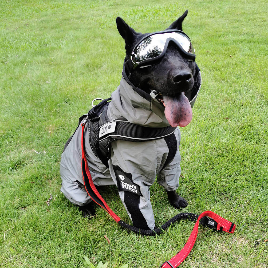 Reflective All-weather Waterproof Cool Dog Accessories Rain Coat -  FunnyFuzzy