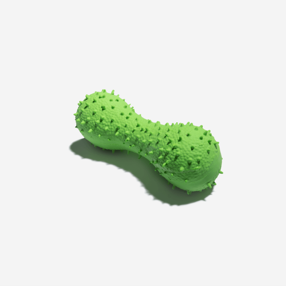 Kaktusförmiges quietschendes Hundespielzeug