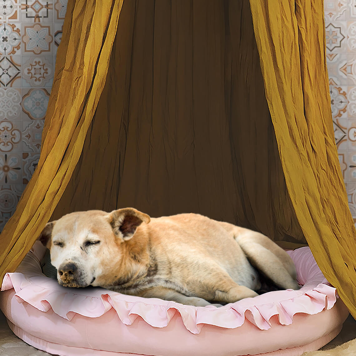 Stylish Soft Cozy Dog Tent  Dog Teepee