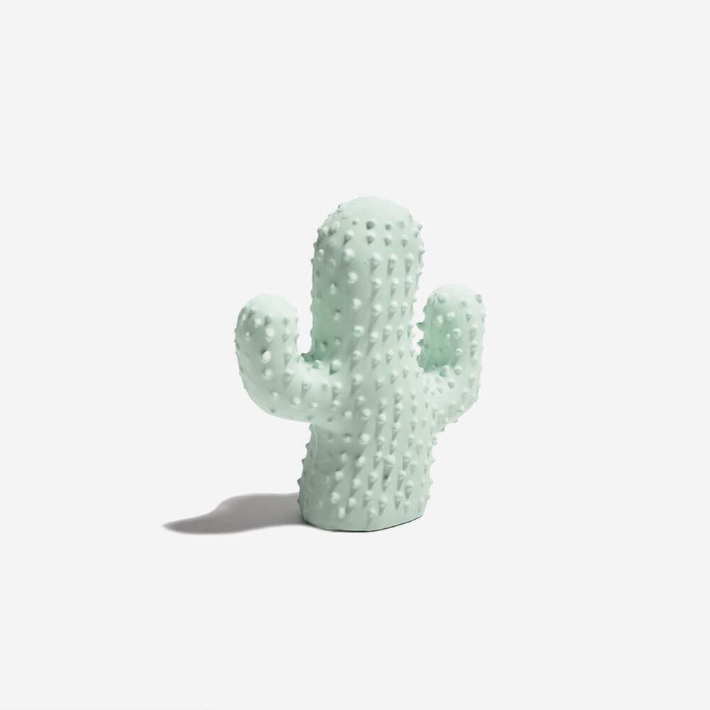 Jouet pour chien couineur en forme de cactus