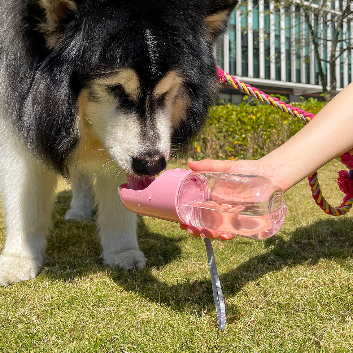 Tragbare Outdoor-Hundewasserflasche