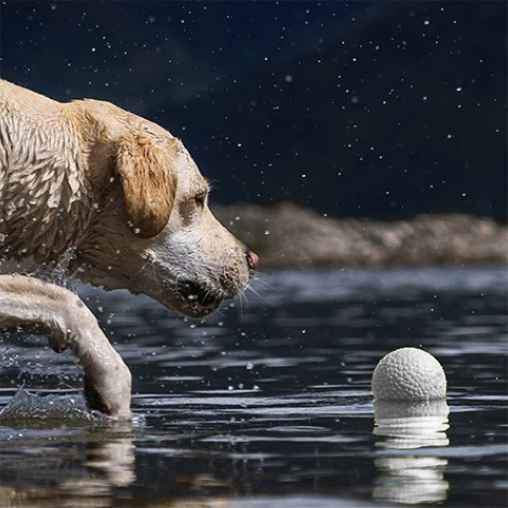 Brinquedo para cachorro com bola de treinamento de pipoca