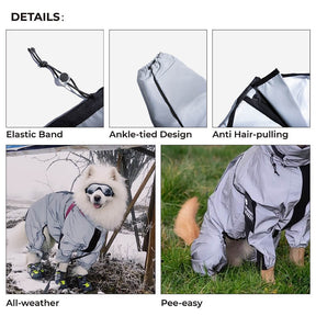 Manteau de pluie imperméable réfléchissant pour chien tout temps